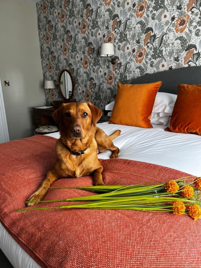 The Crown Pub And Hotel Manningtree Buitenkant foto